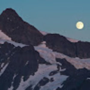 Meet your Posher, Teddy